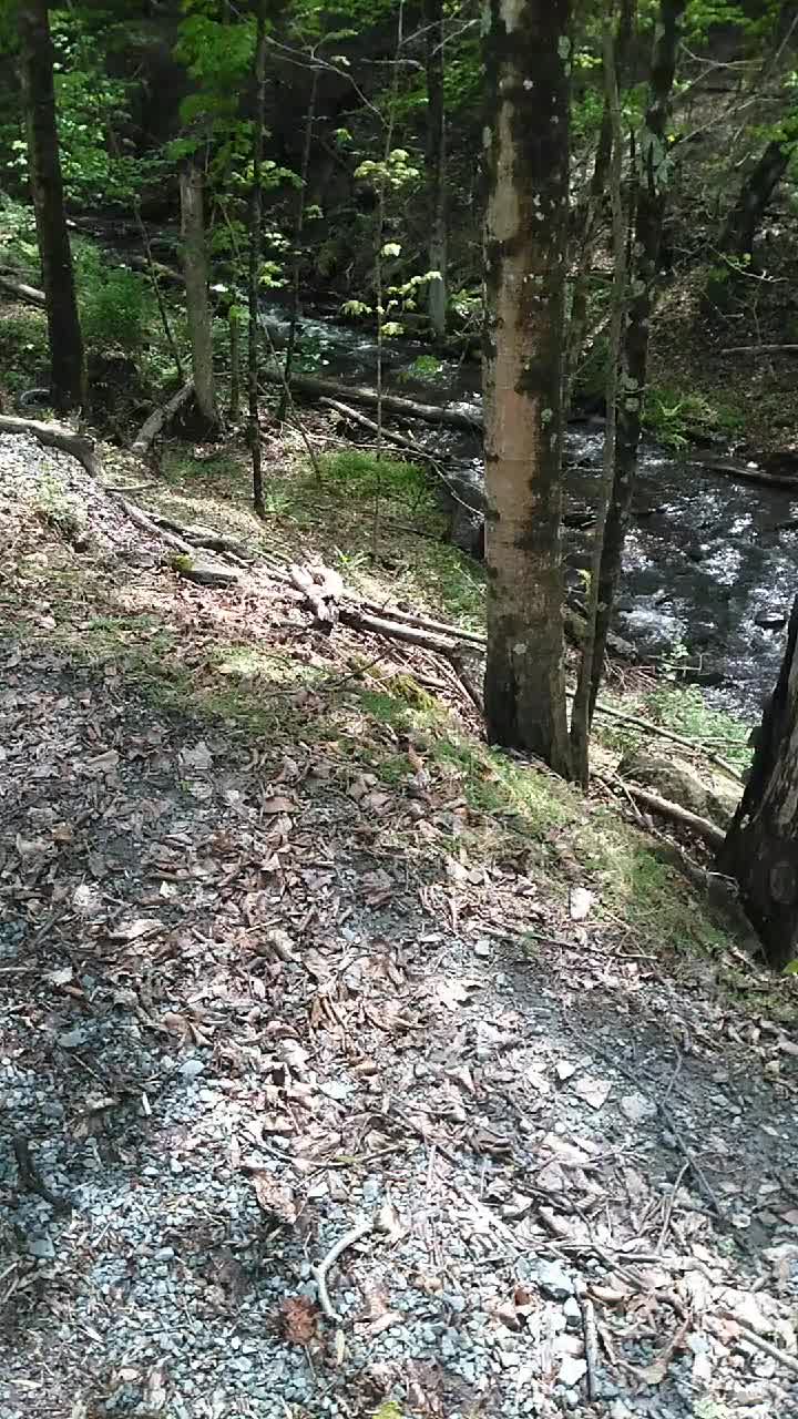 @thegoodnoise11
