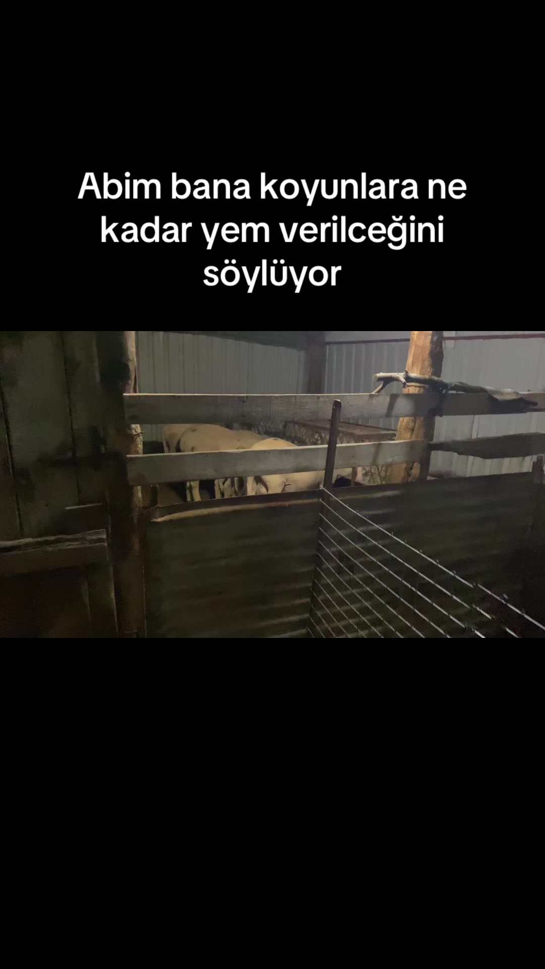 @ERDEM