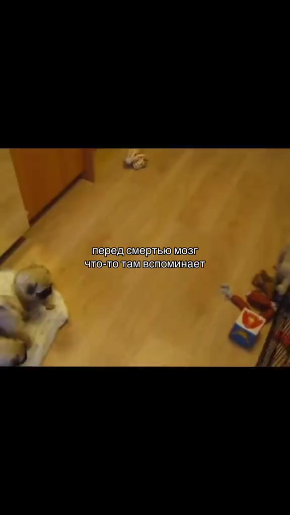 @Сунгулик