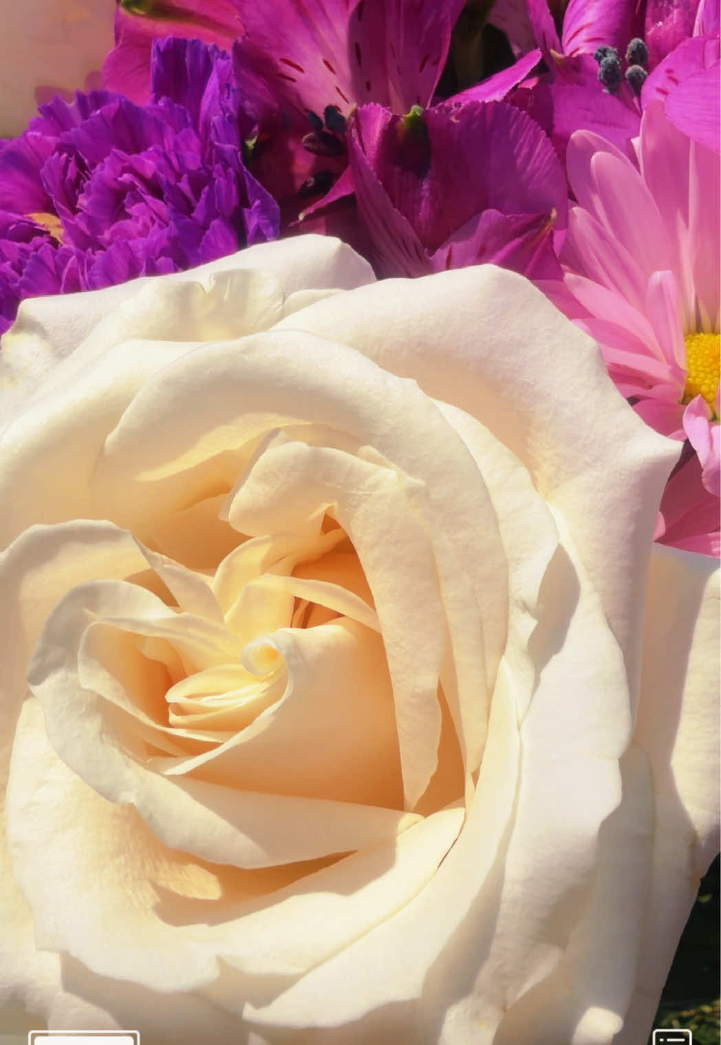 @Viktoriia S Beauty
