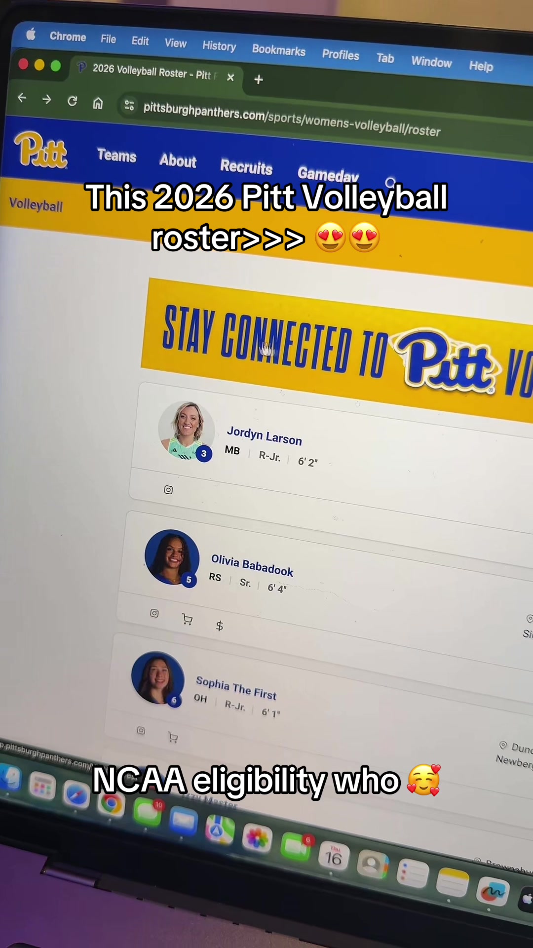 @ncaavballfan