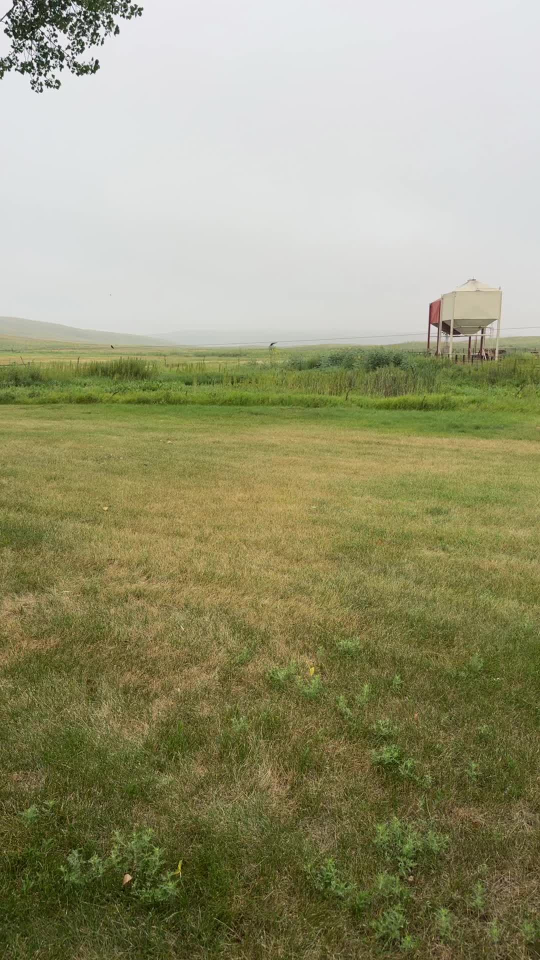 @Huffmanranch