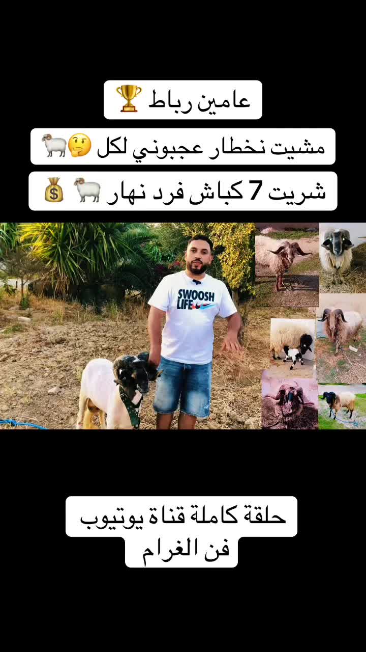 @سيف غرام زمان 🇹🇳