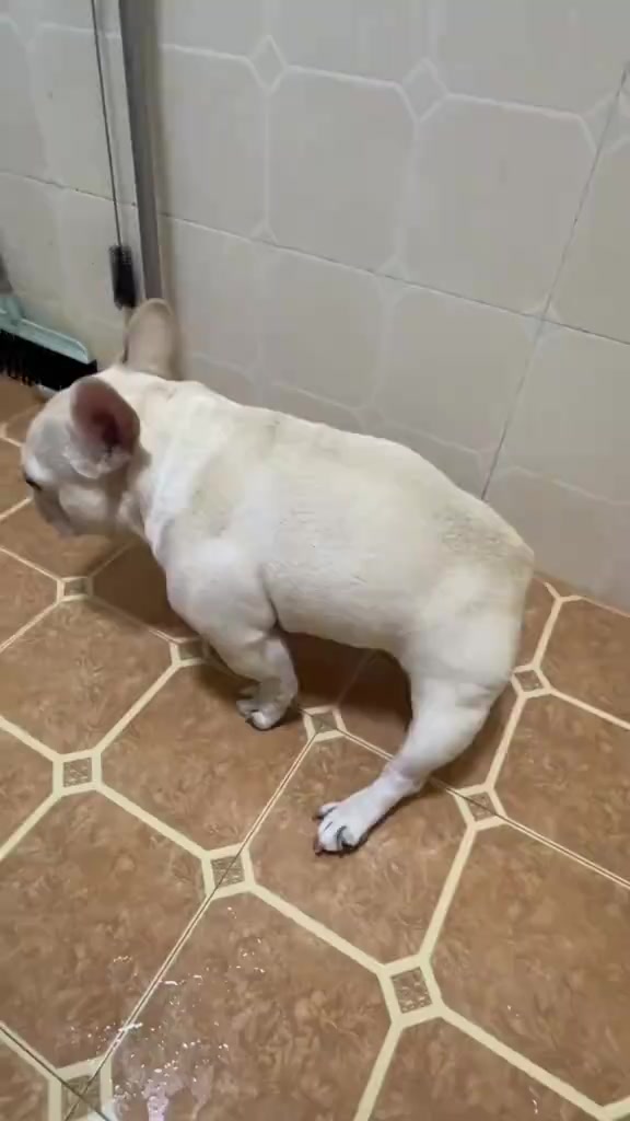 @буба