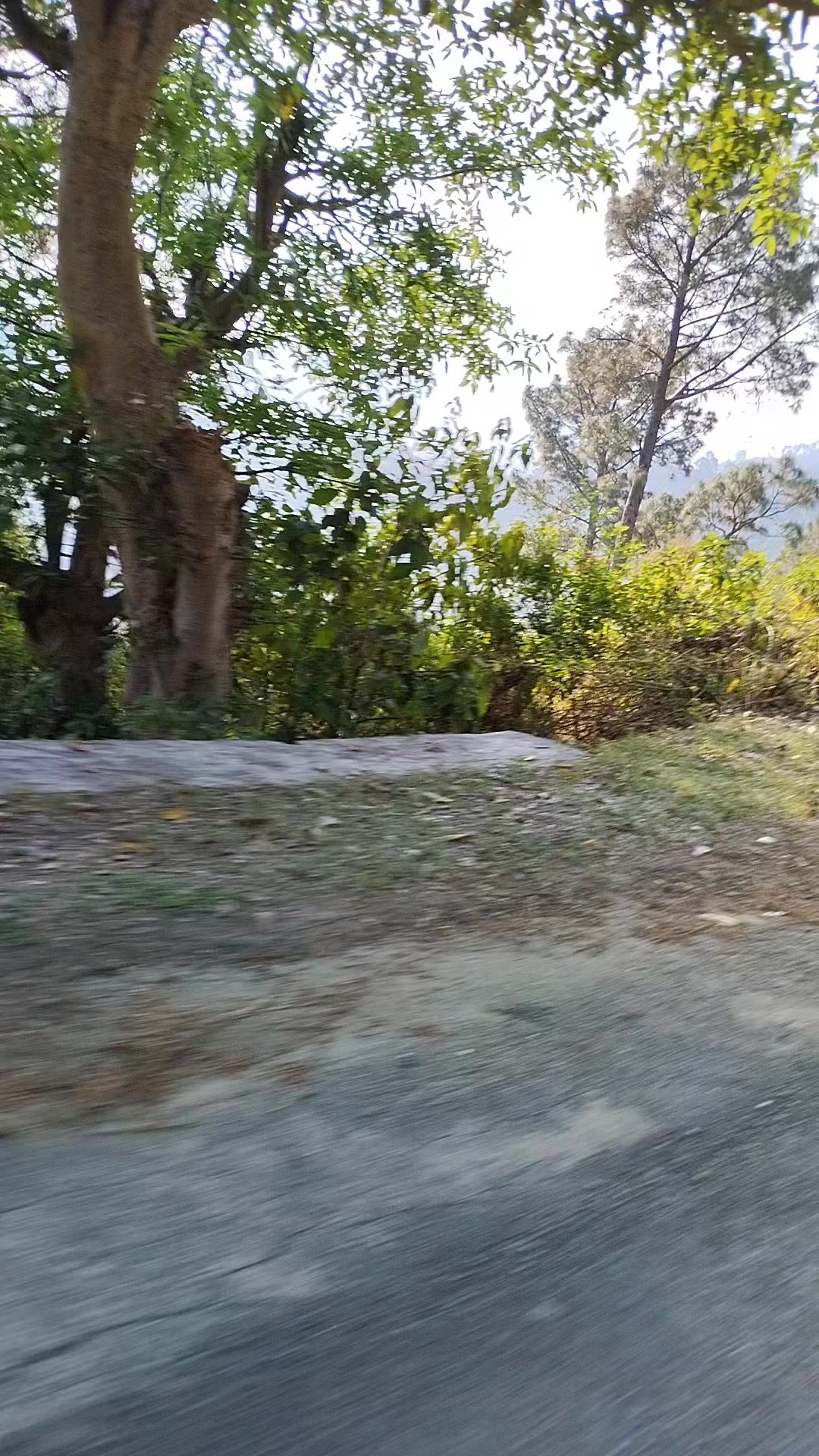 @𝒂𝒏𝒖 𝒎𝒂𝒍𝒊𝒌