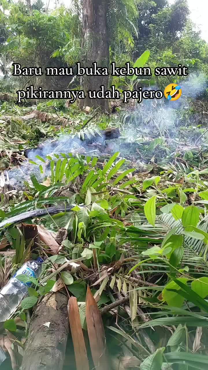 @sawit muratara