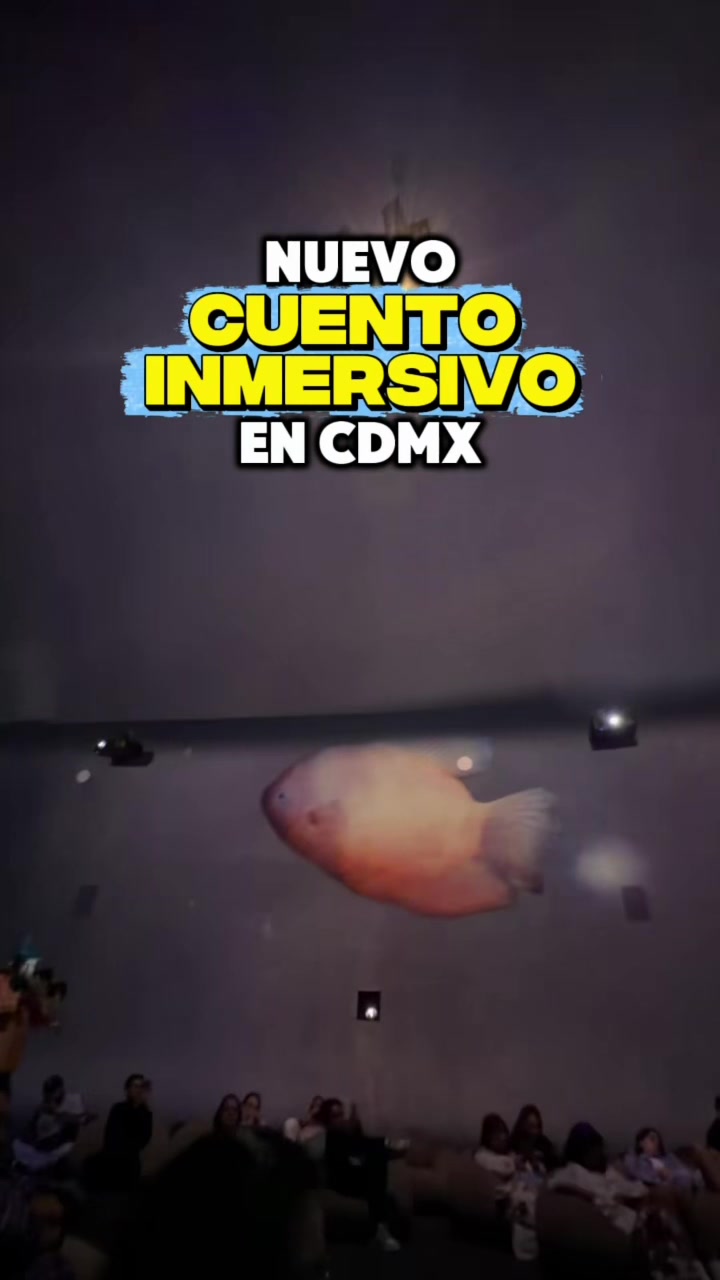 @BitacoradeJoe