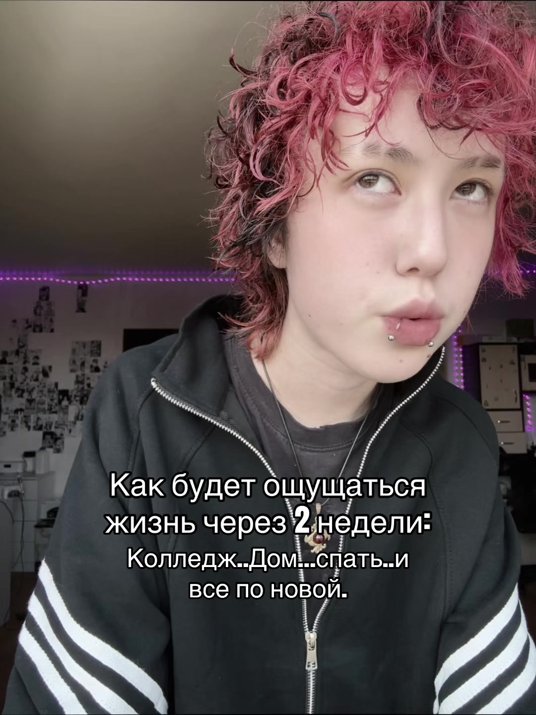 @🎀кудряшка тишка🎀