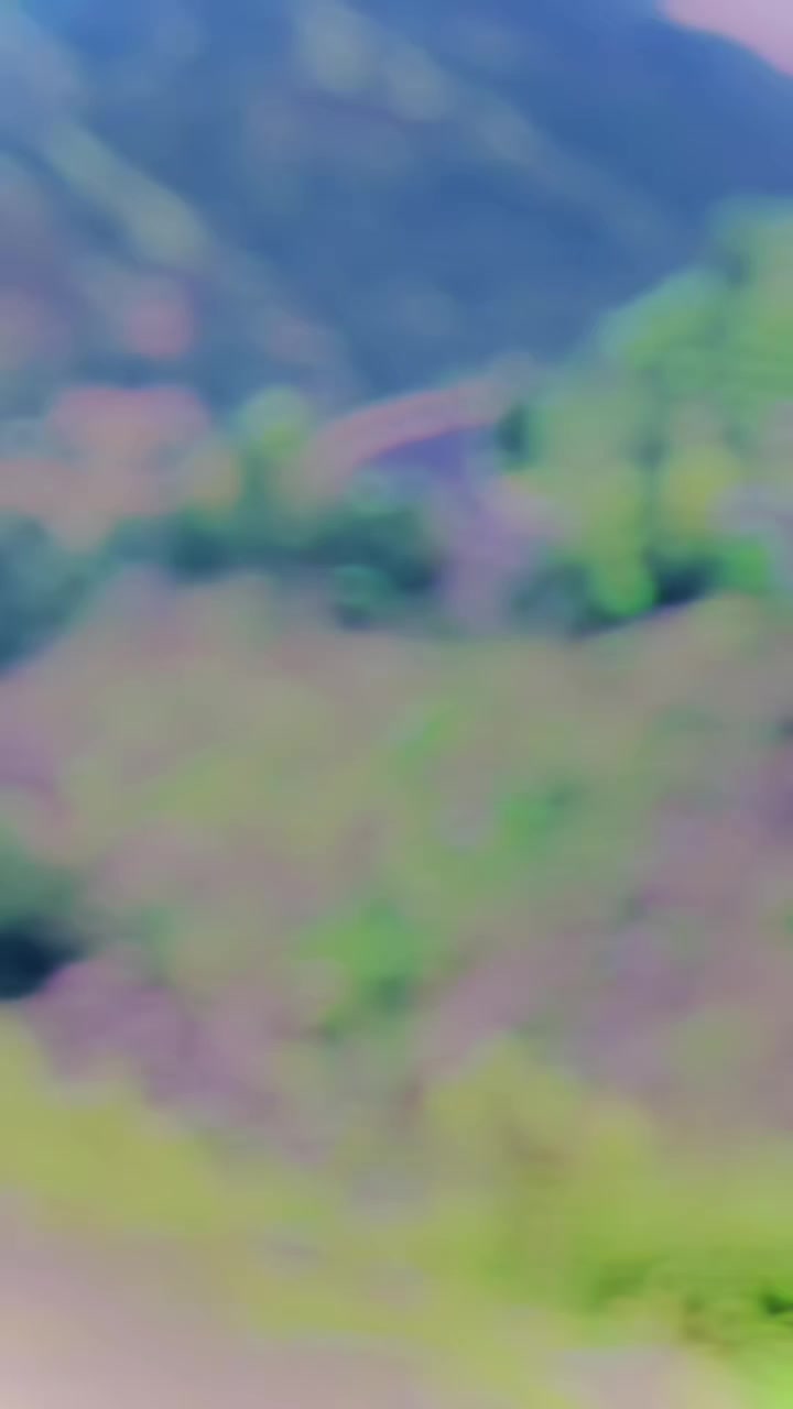 @shafoo_099