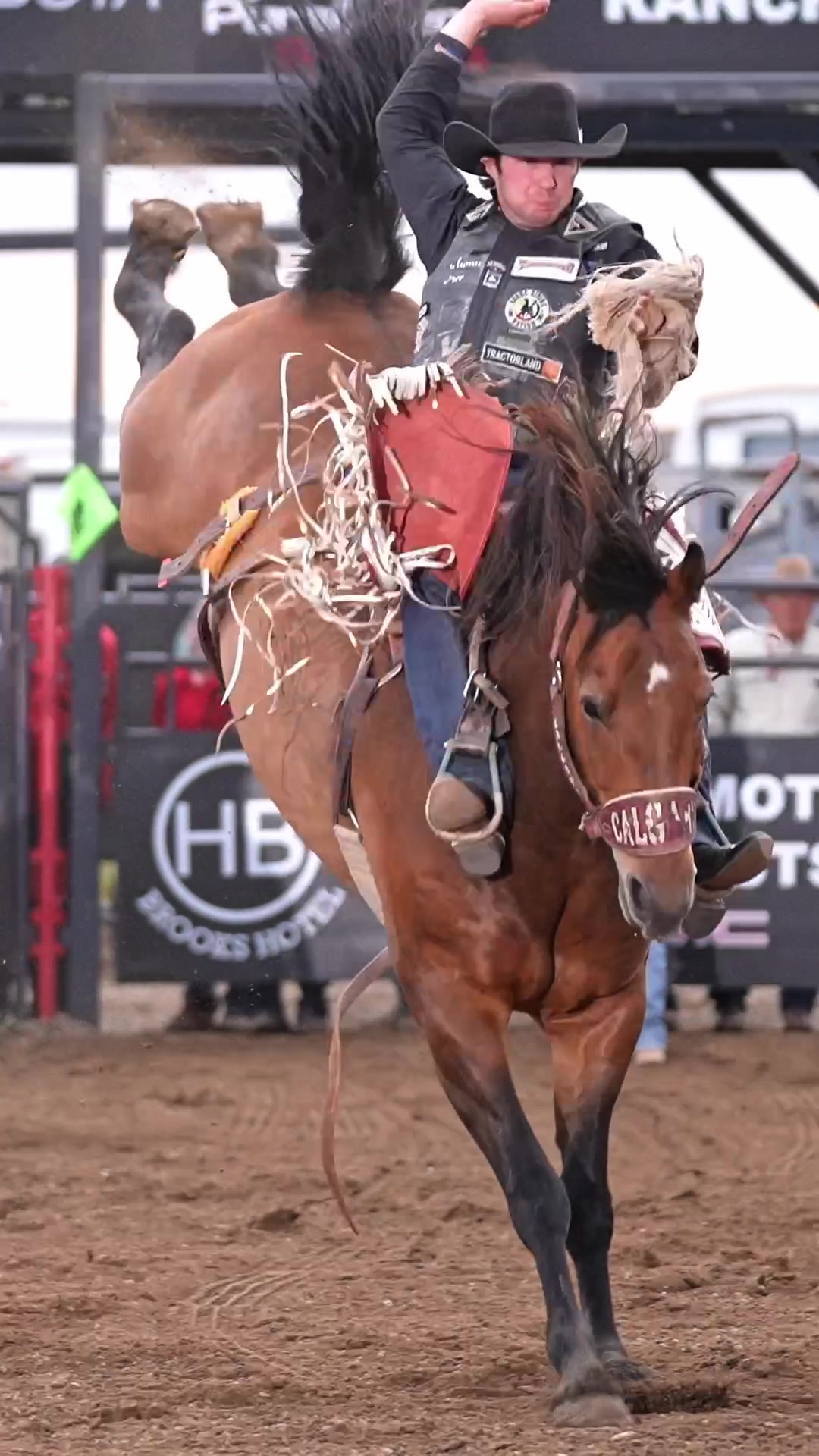 @Hanginghorses