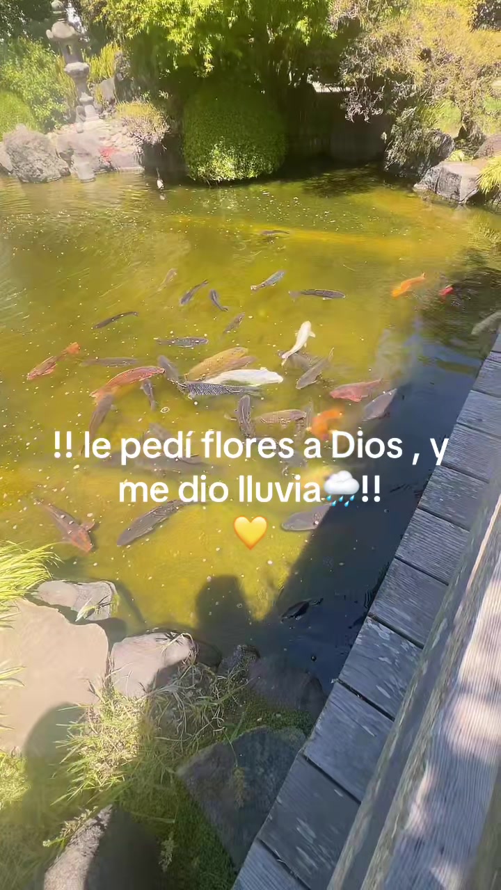 @Jenny🐰🍑