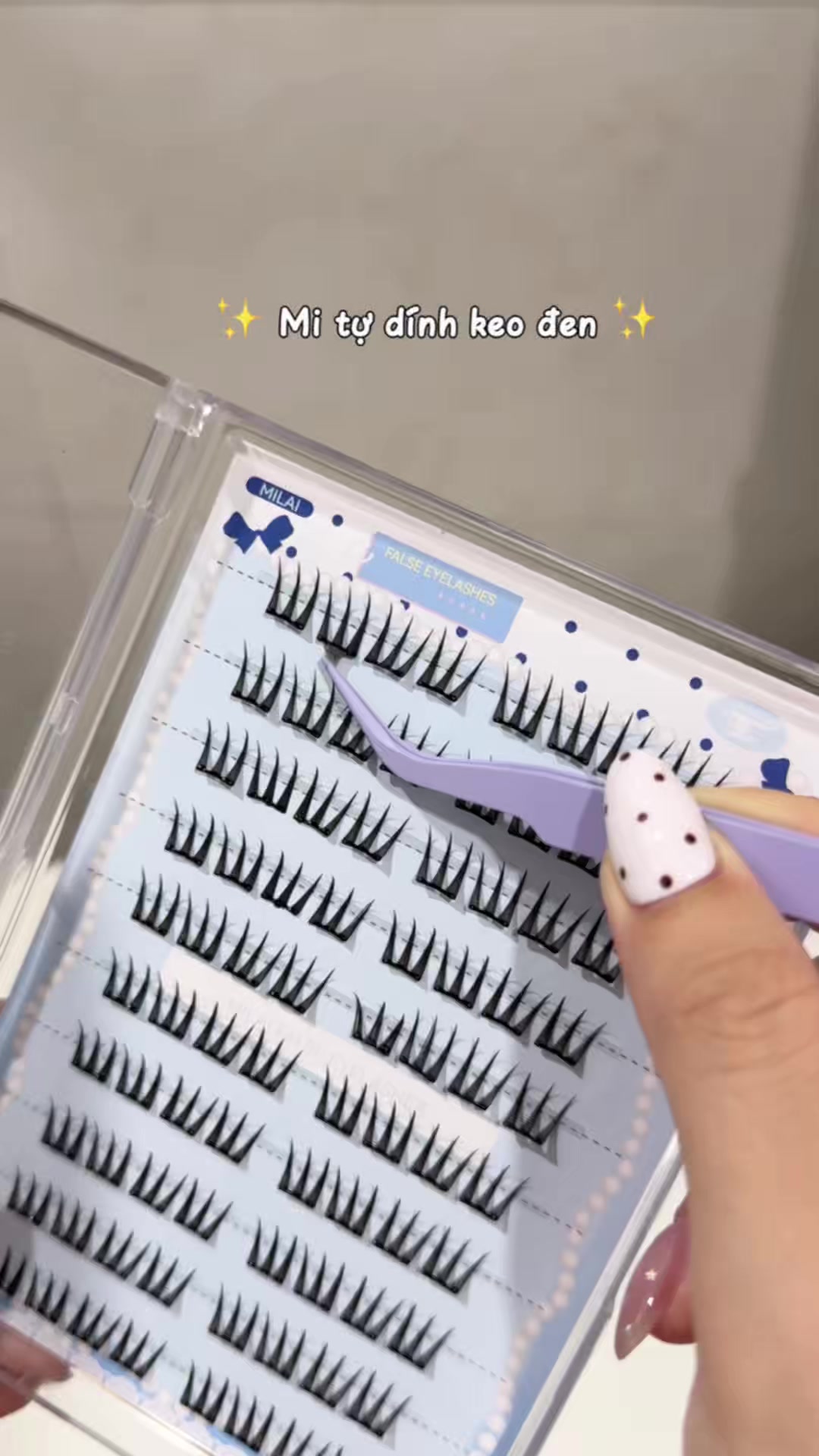 @𝐇𝐚𝐧𝐧 𝐗𝐢𝐧𝐠 𐙚