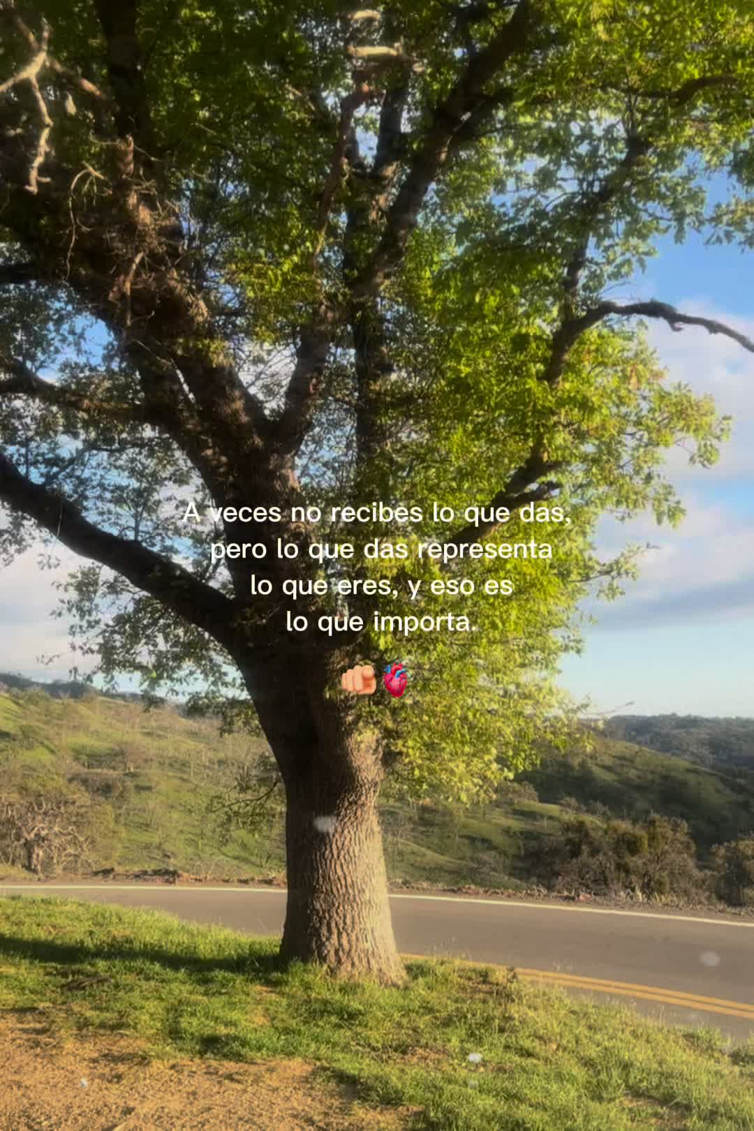 @Luna 🖤