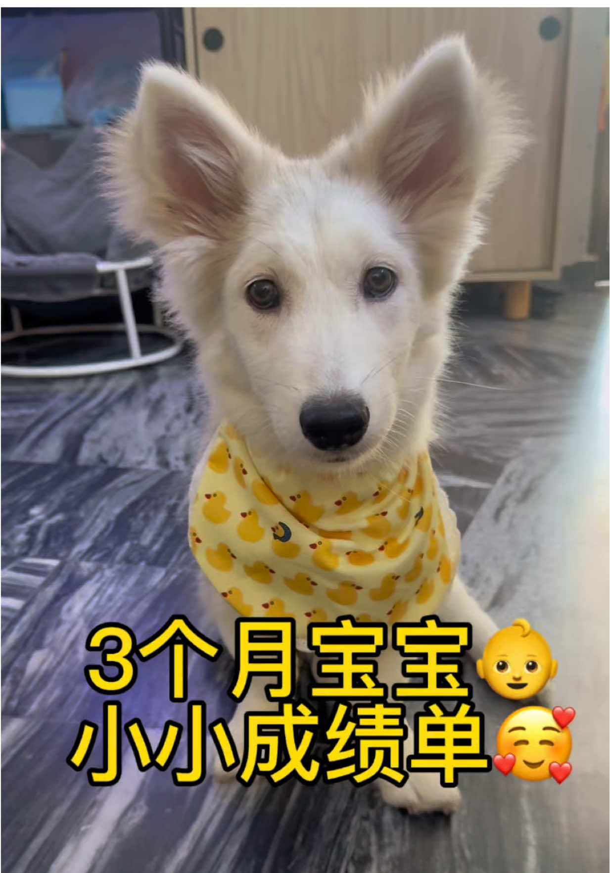 @Jasper Goh 吴碧玉