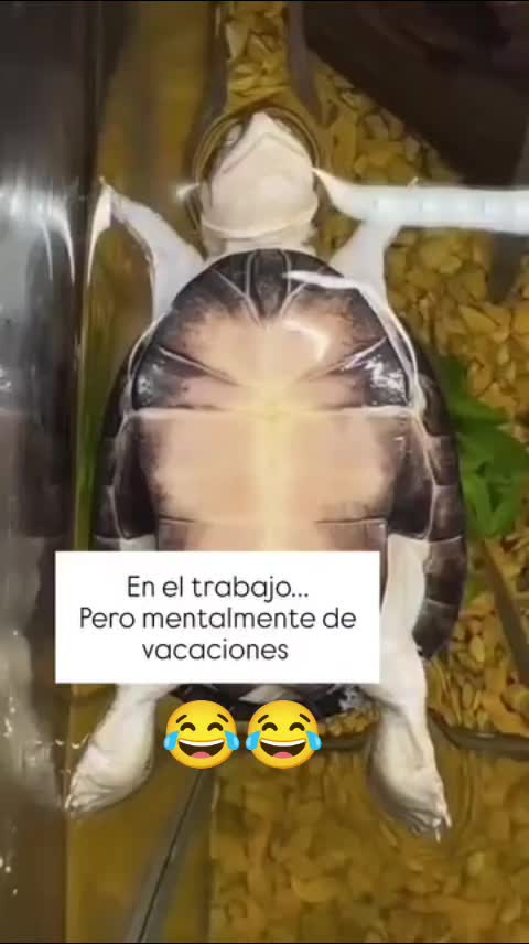 @Bravo0503