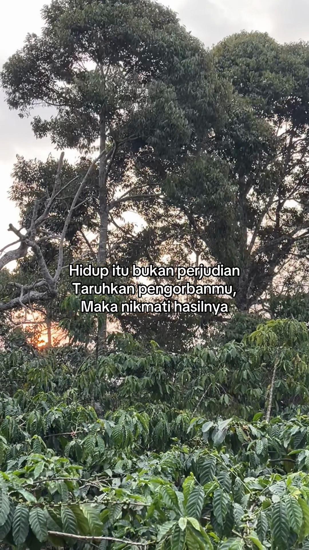 @CoffeRubostabeans
