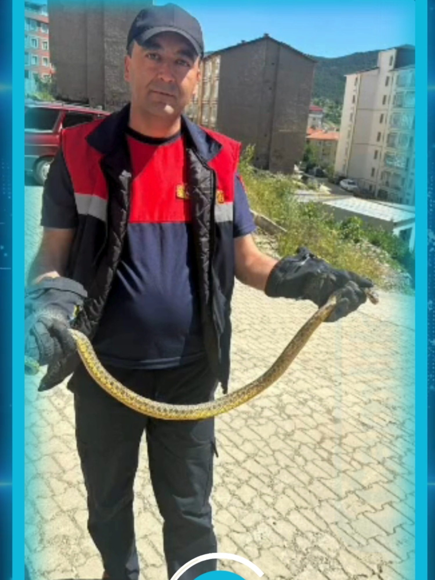 @camlikgazetesi