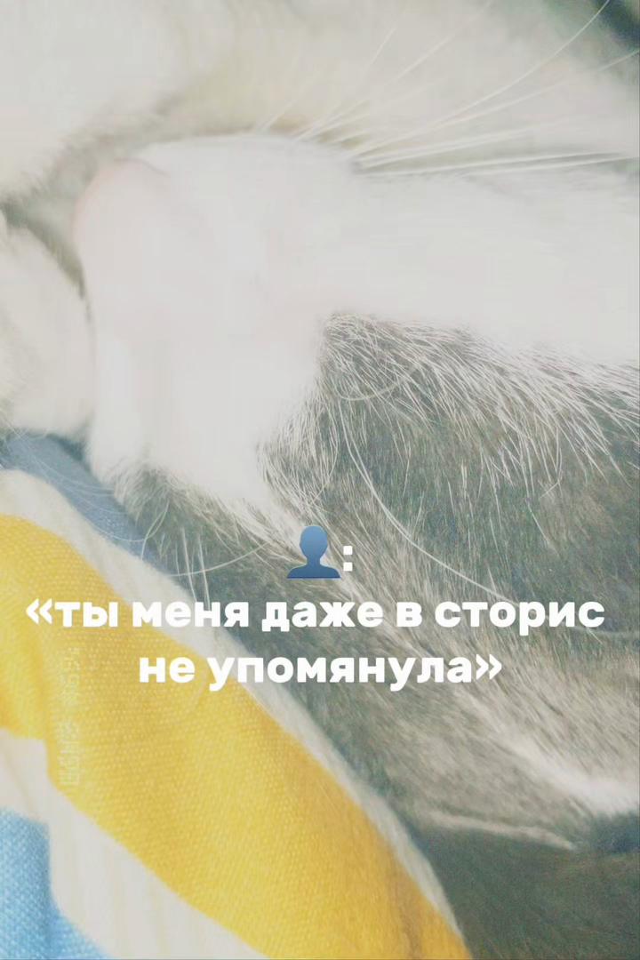 @mon7as04