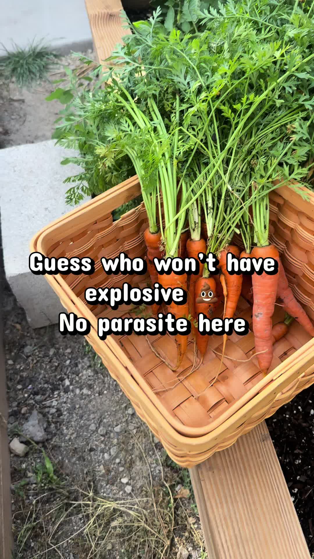 @CharminglyFrugal