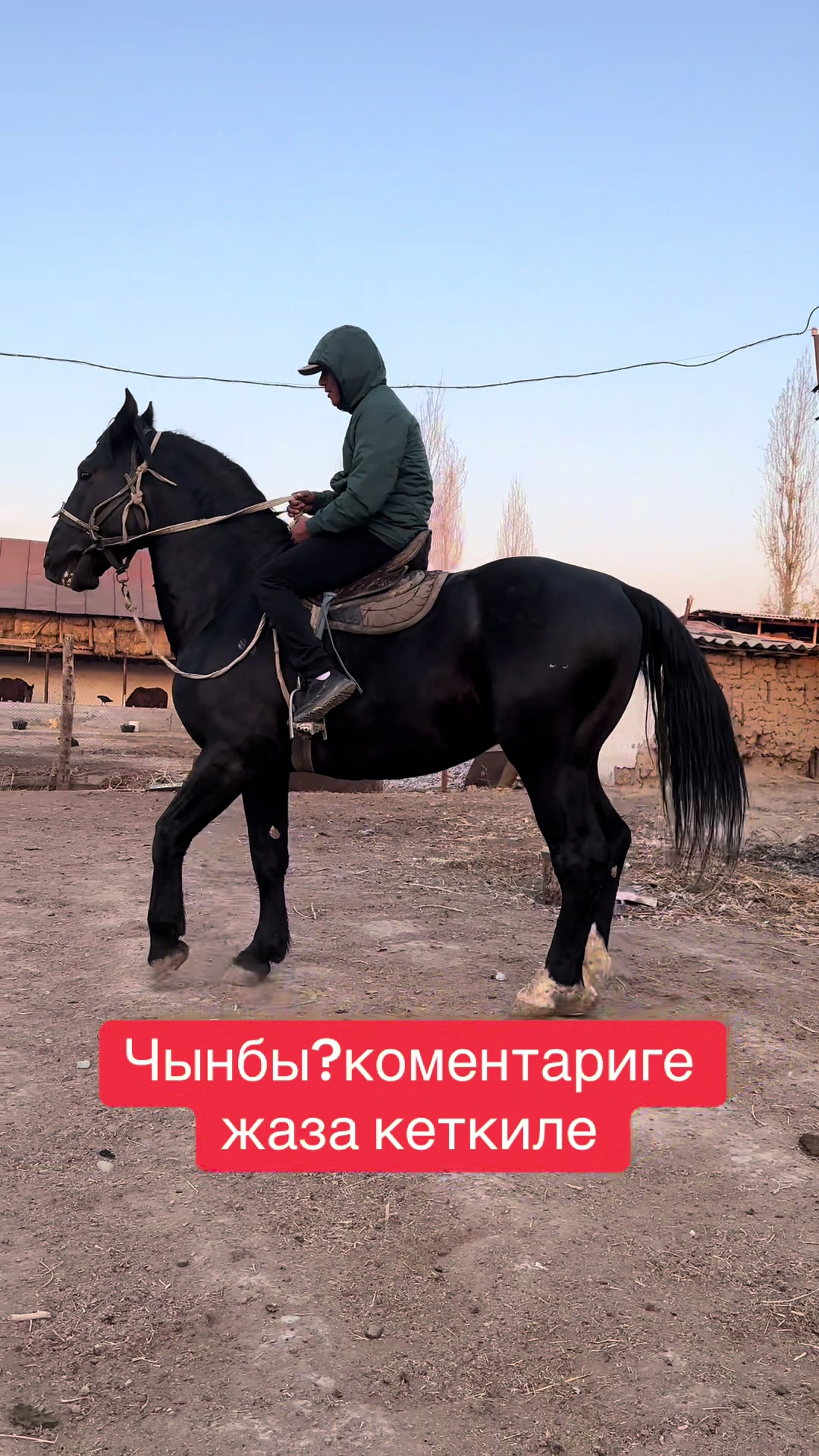 @Oskonbai Tajibaev