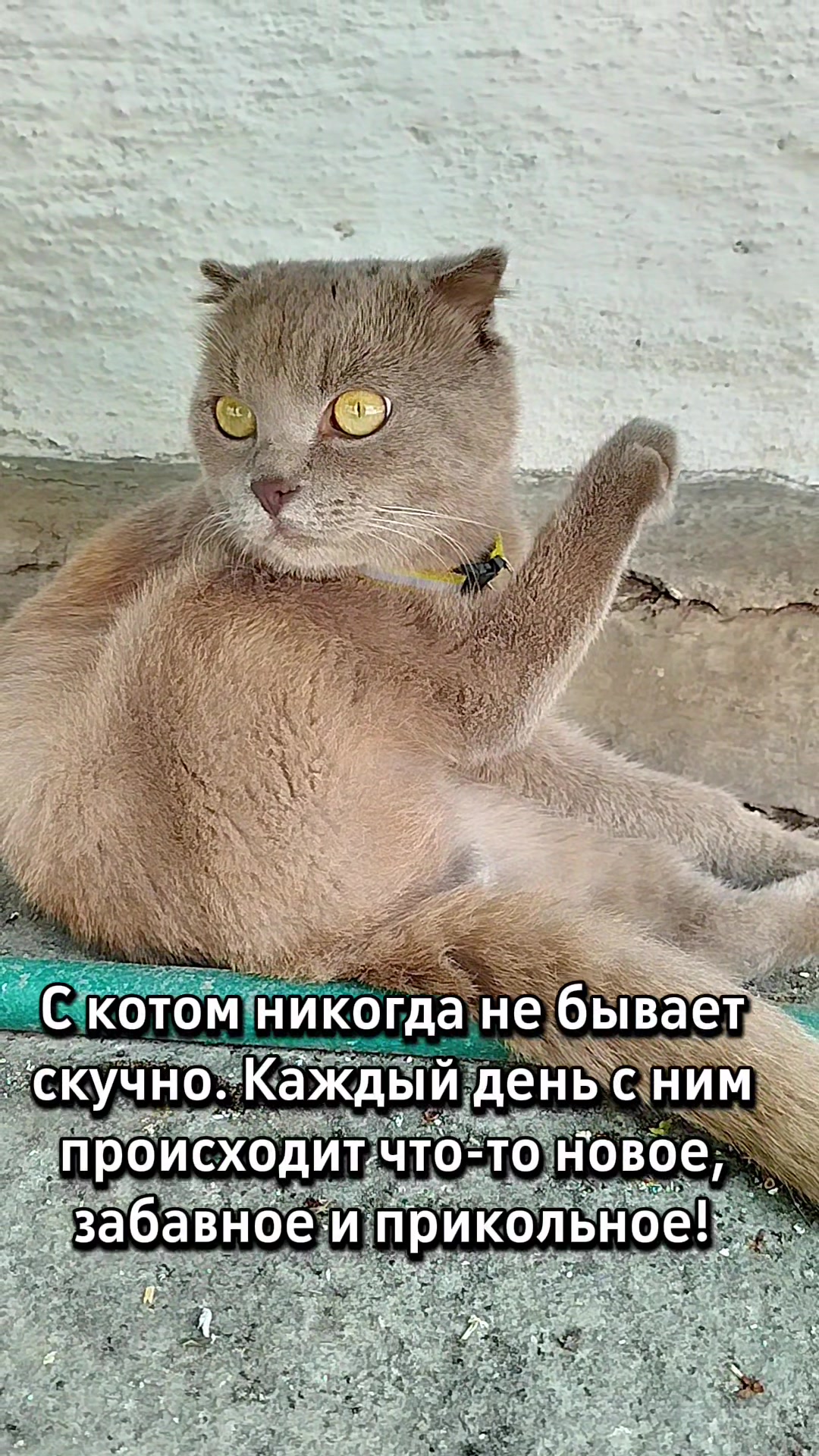 @🐈Масик&Андрей🥰