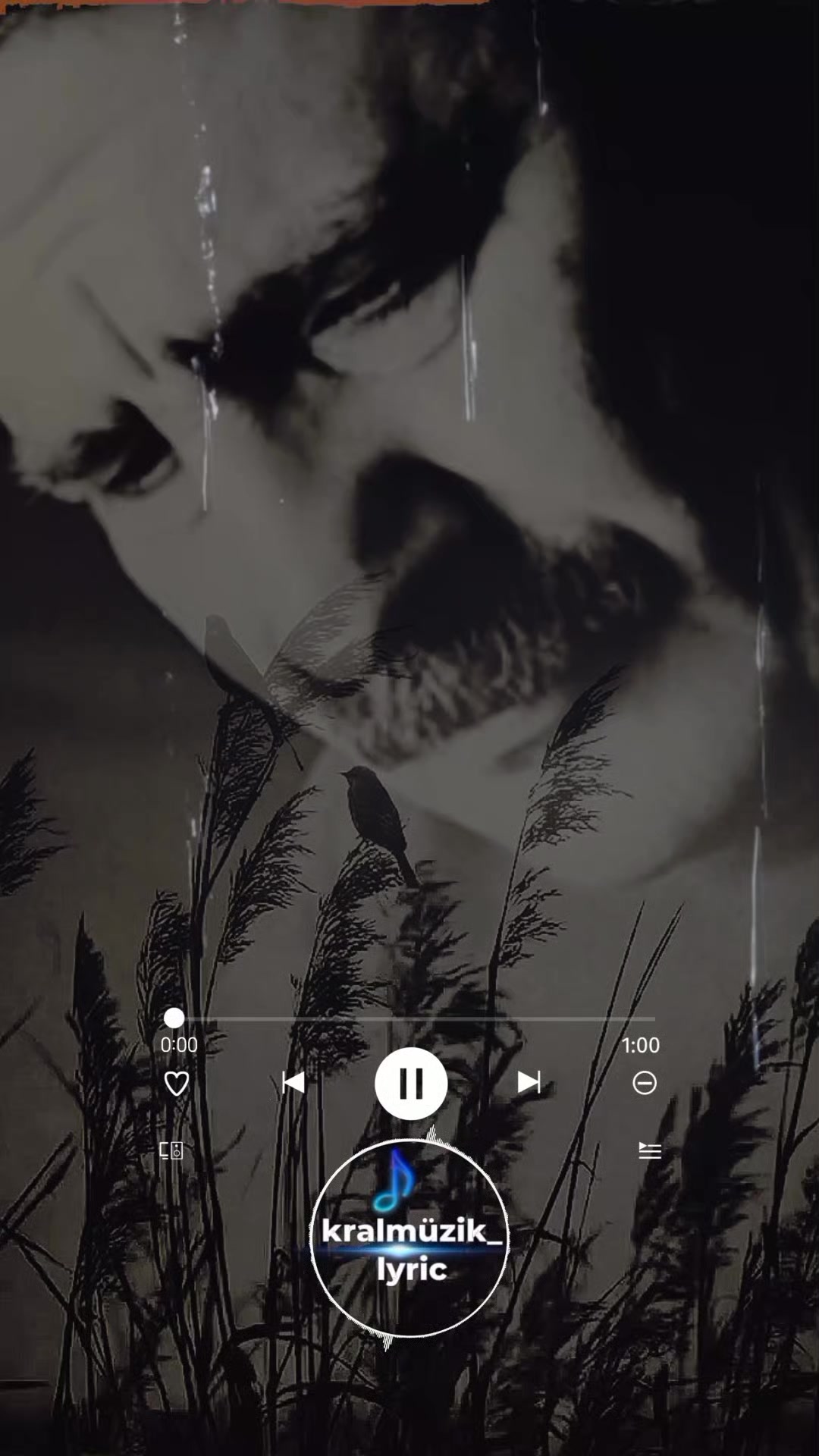 @🄲🄶🅂 🄾🄵🄵🄸🄲🄸🄰🄻