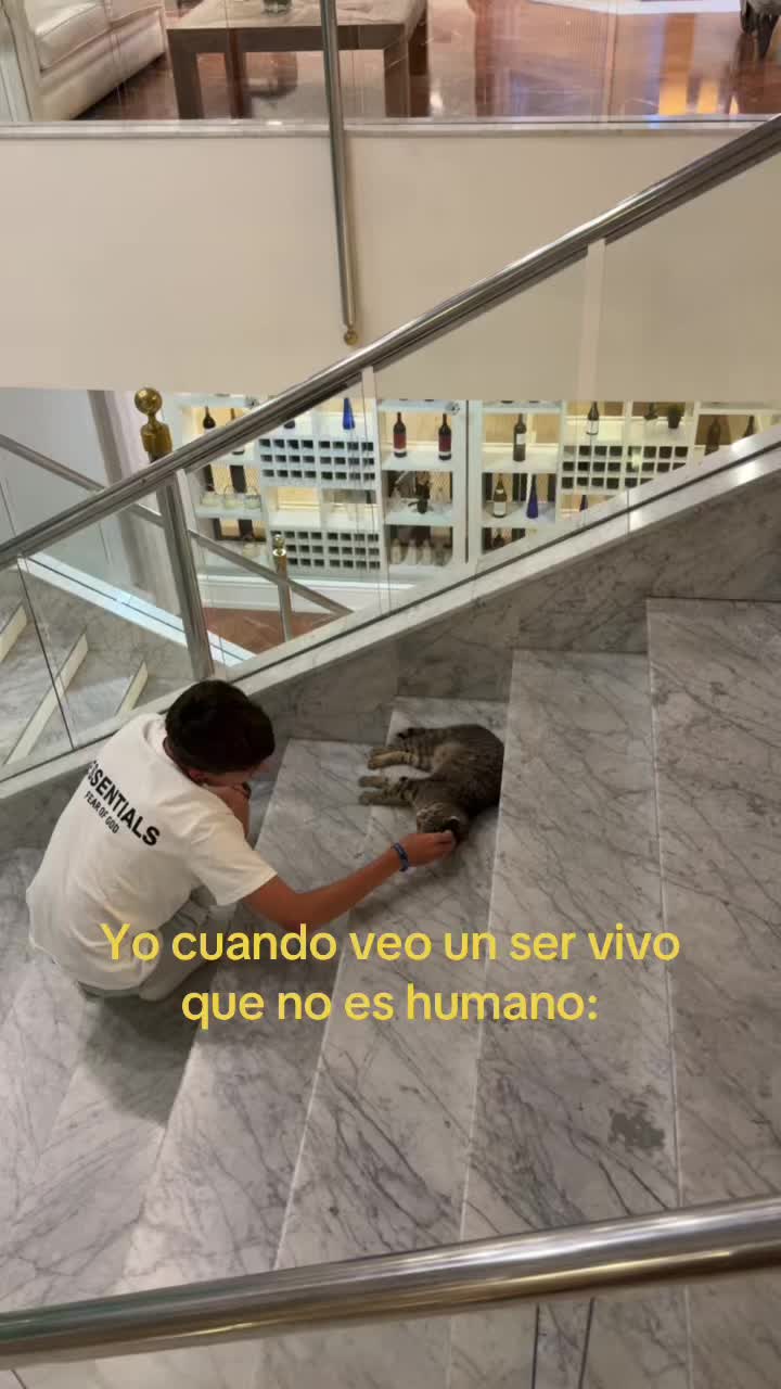 @Marsal