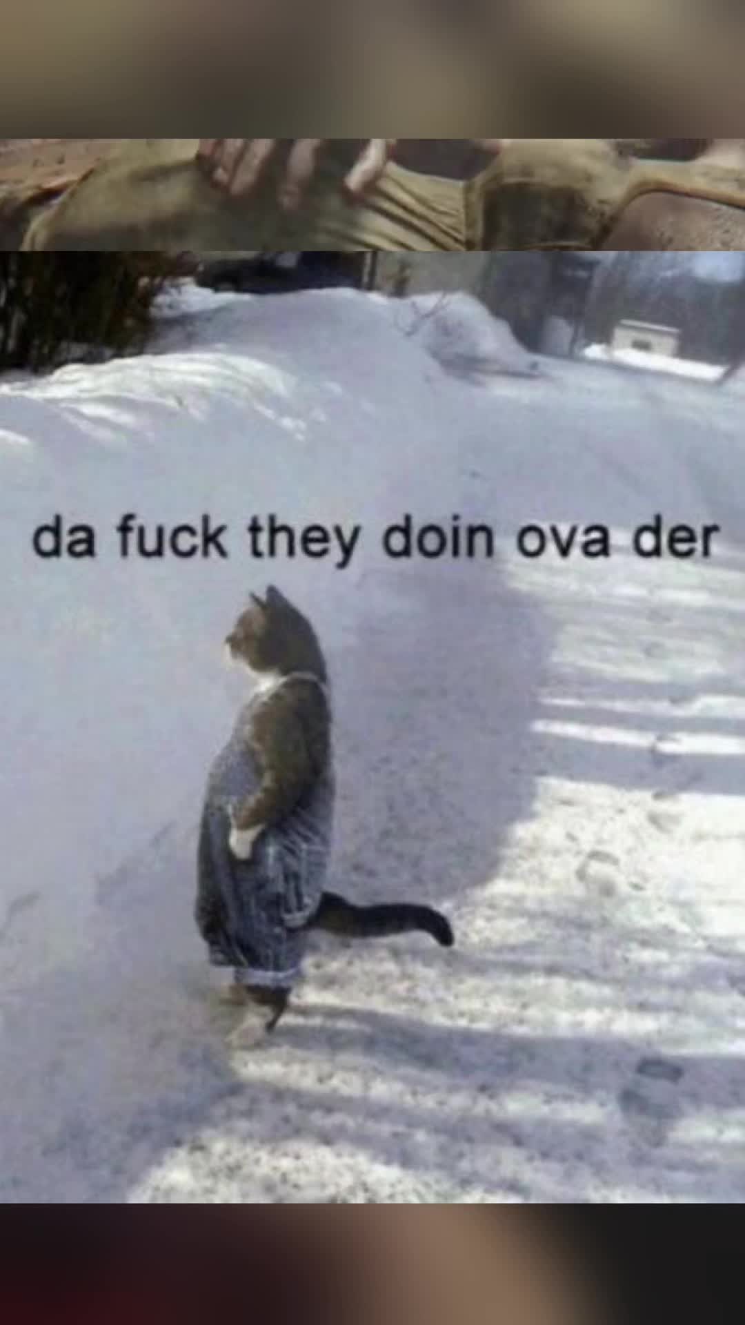 @Maze