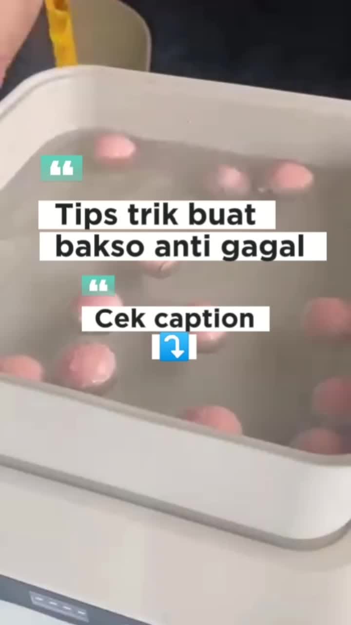 @yani