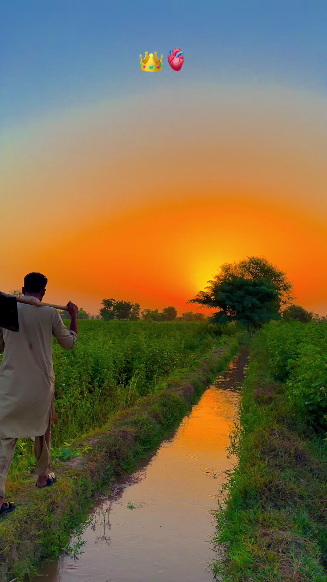 @پنجابی کلچر 🌾🍂