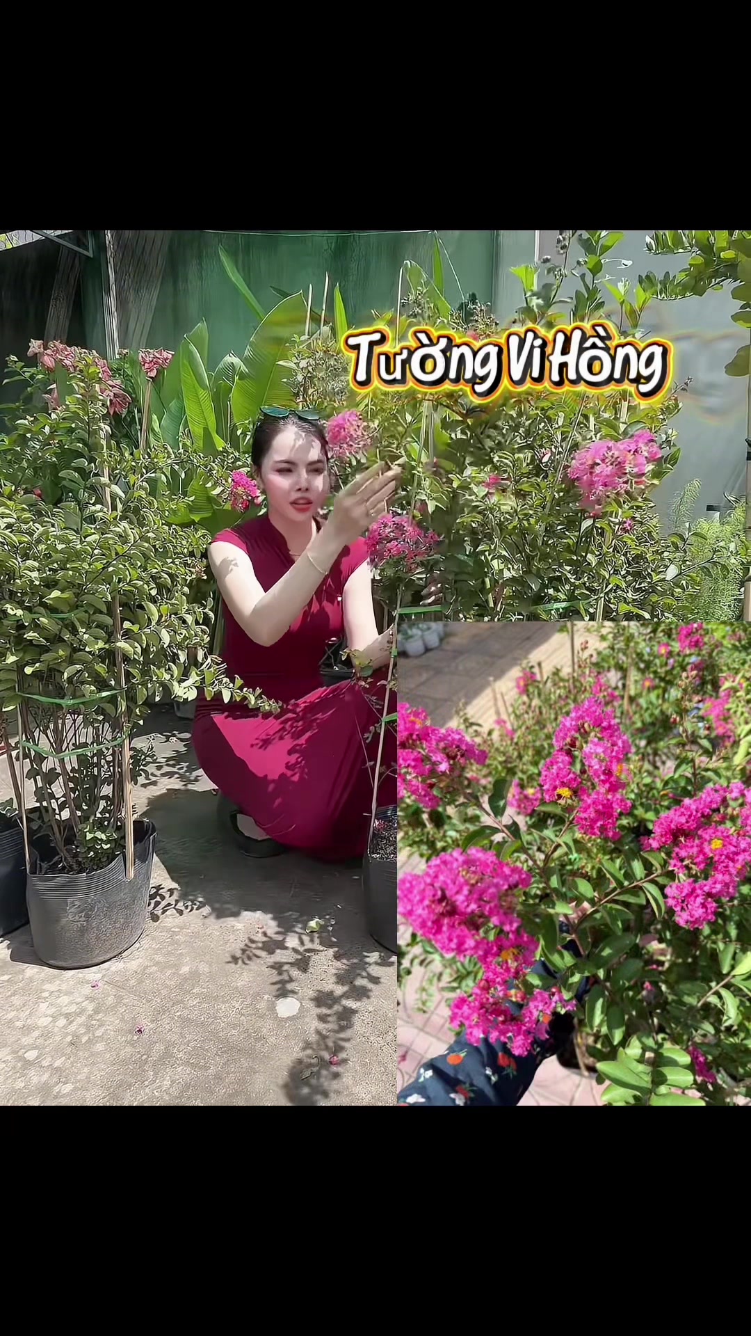 @Tiệm Lá Nhỏ