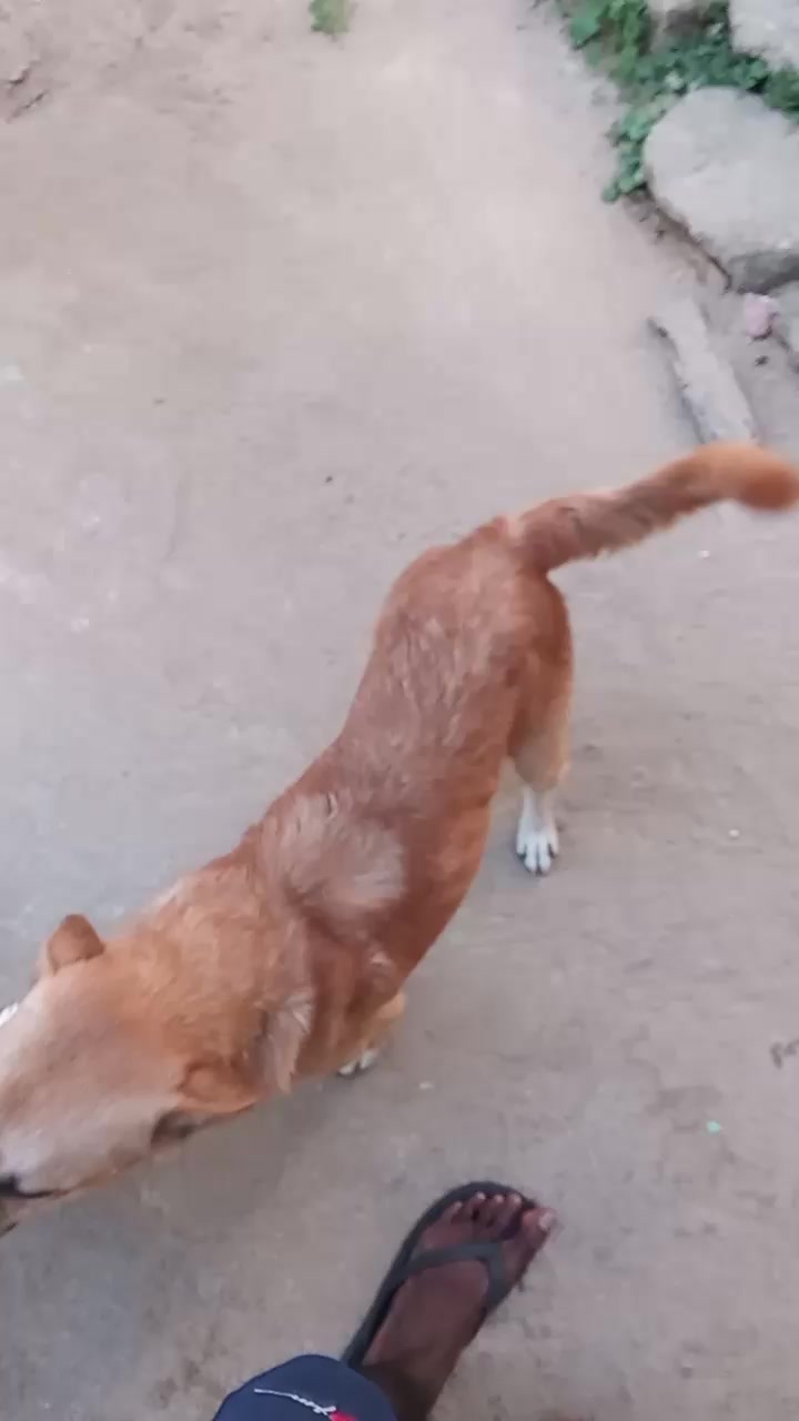 @Kuruppu