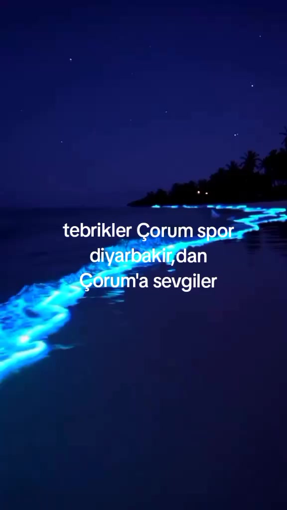 @zazaismail63