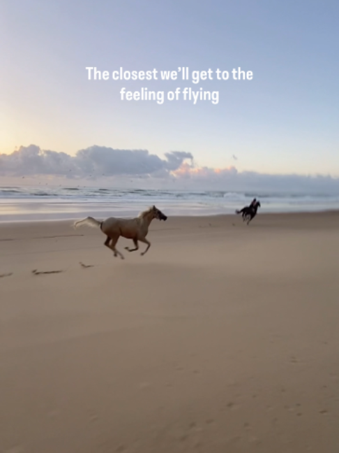 @Myhorsewillow