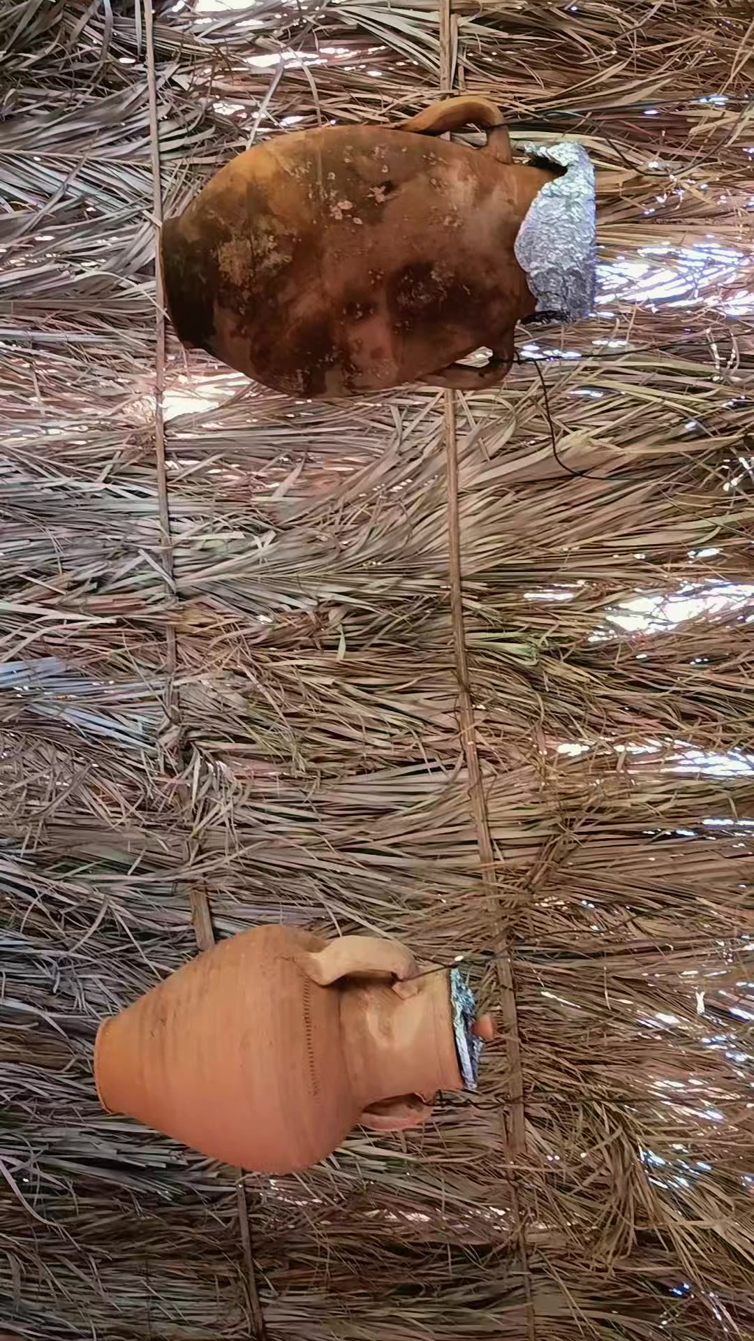 @(البُحيري)87