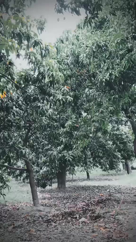 @zohaib007