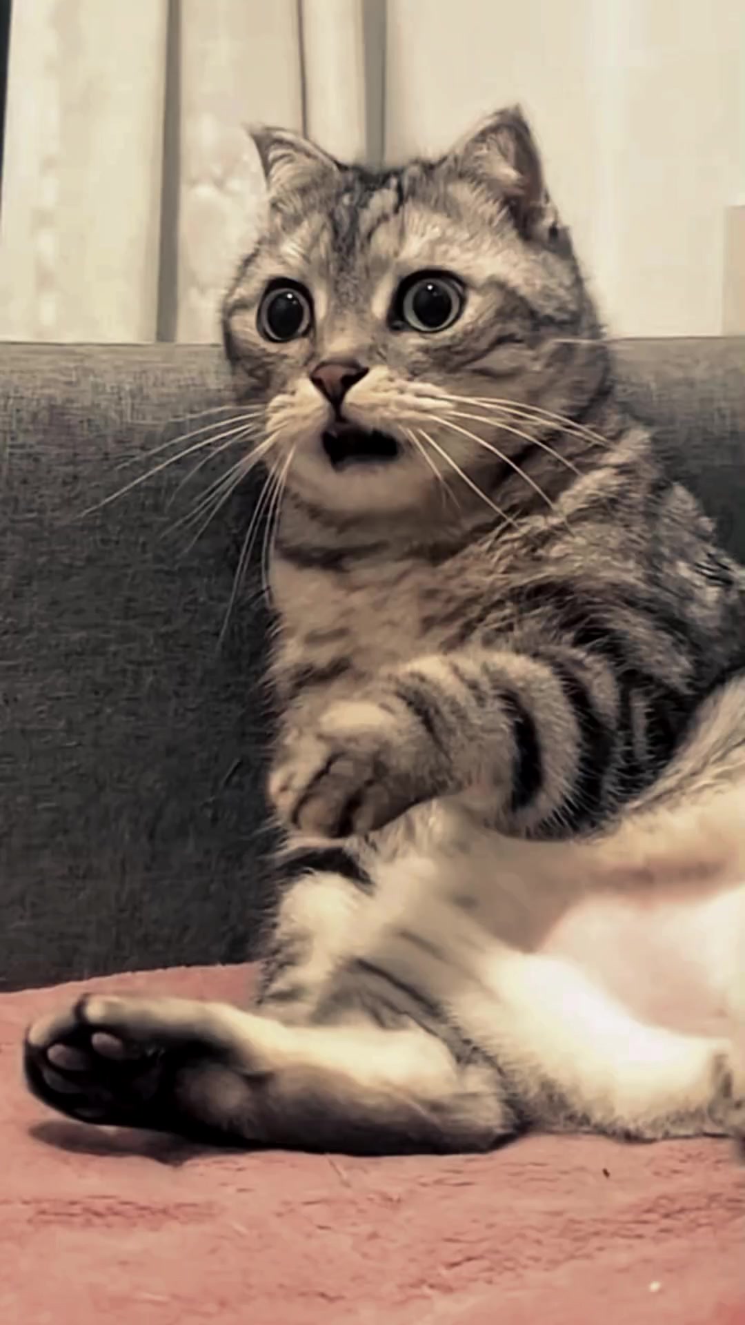 @Lintas Story