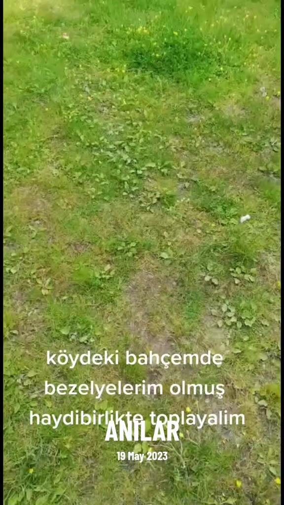 @AYPARCASI