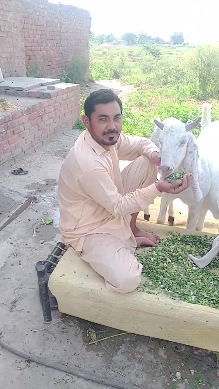 @Zahidjutt
