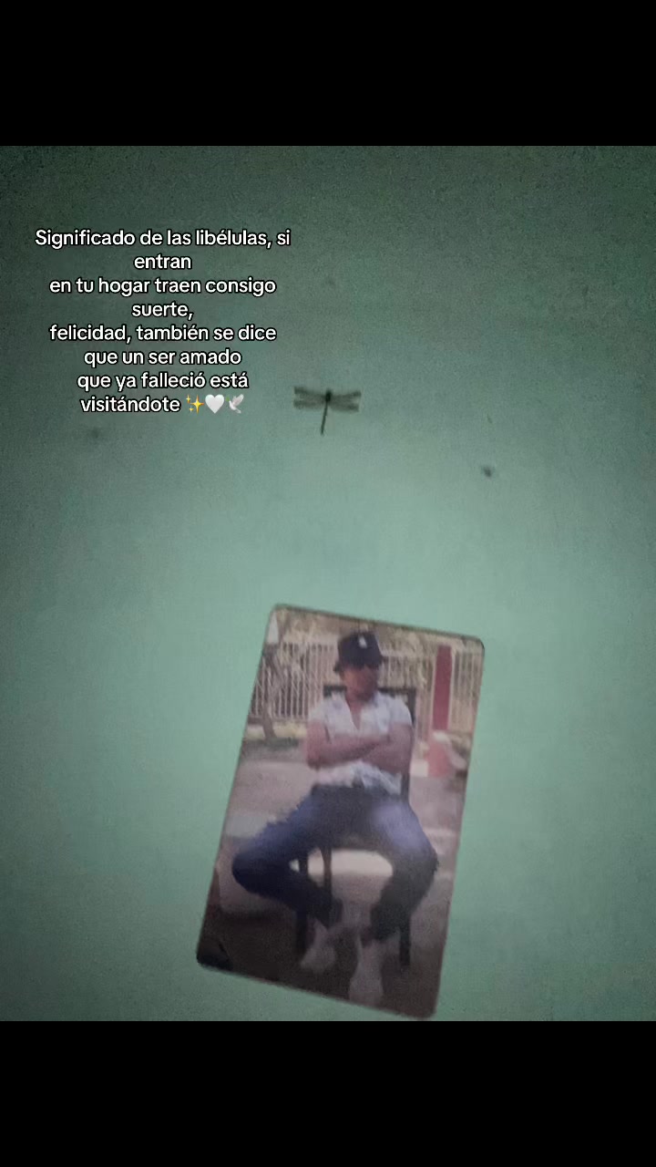 @Yitzel 🤍
