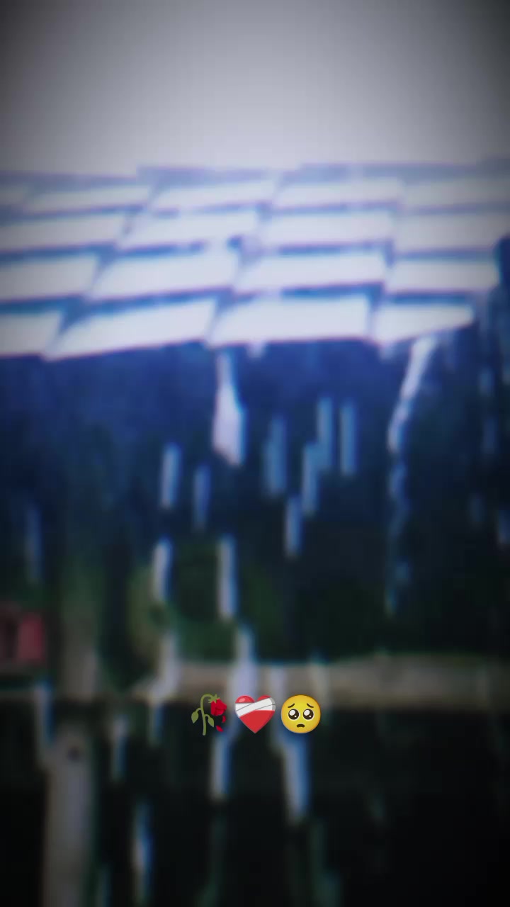@Editor55