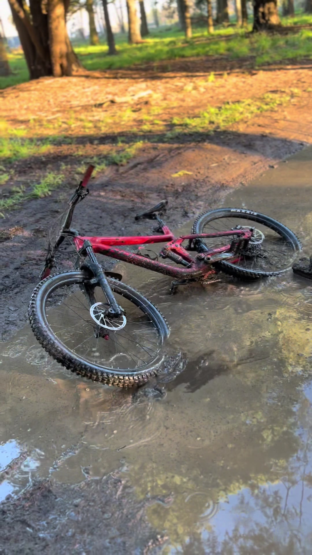 @Angus_ mtb