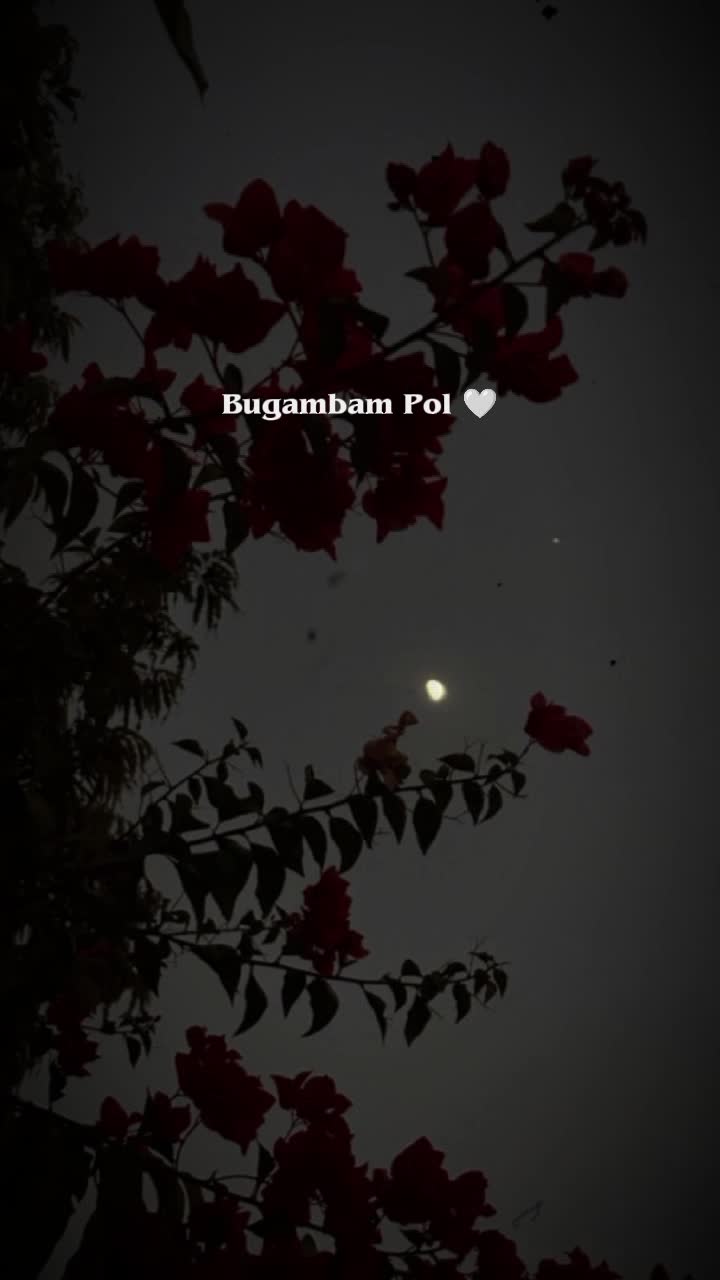 @𝗦𝗛𝗔𝗥𝗠𝗜_𝗘𝗗𝗜𝗧𝗦 🩷