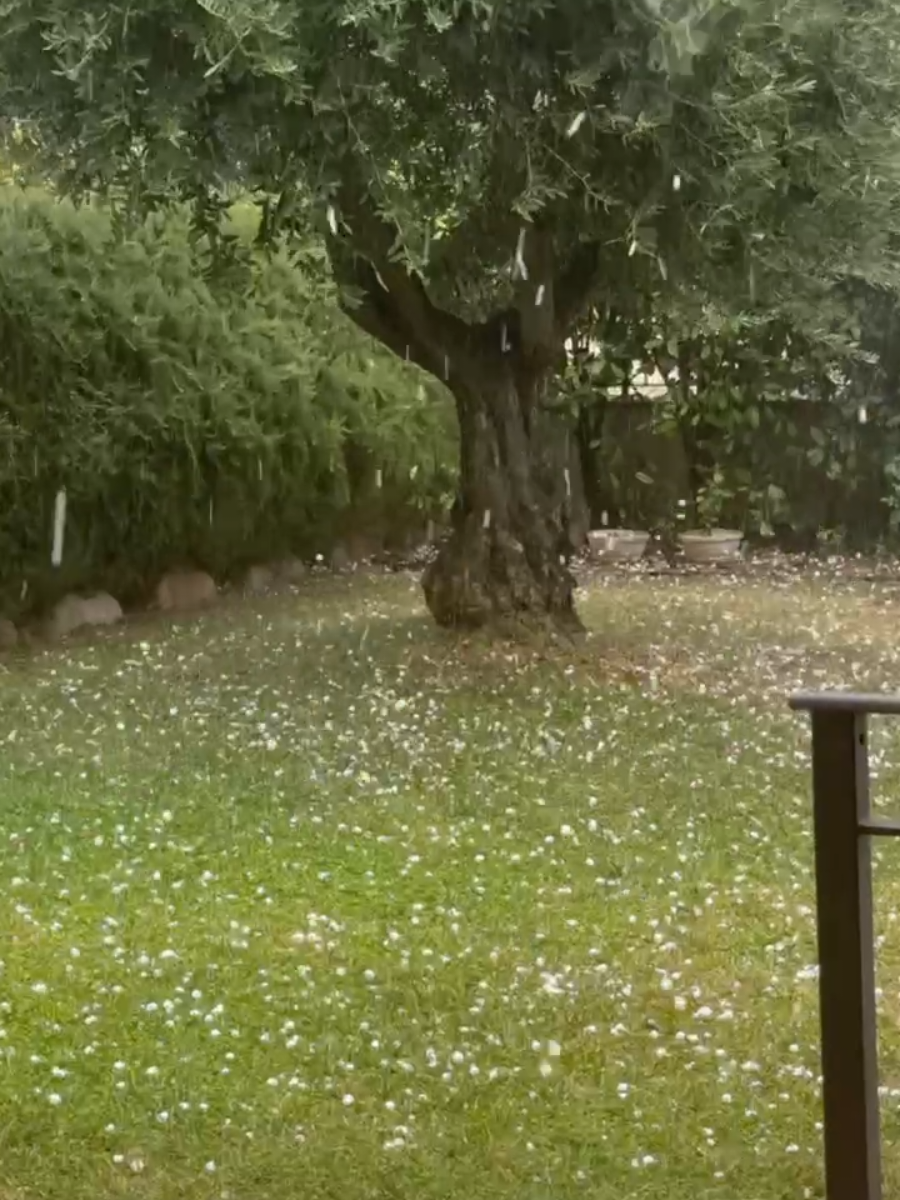 @Weather Insider