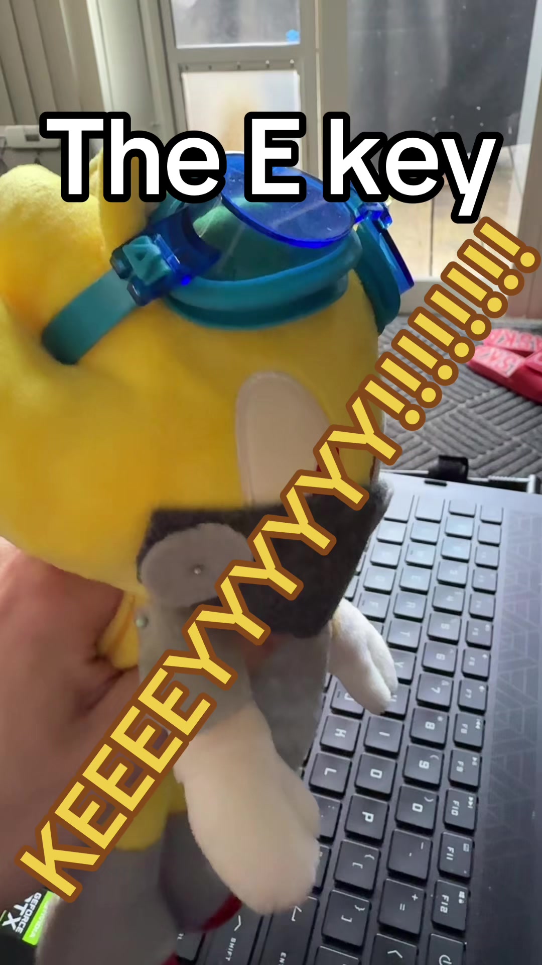 @donnieplushproductions
