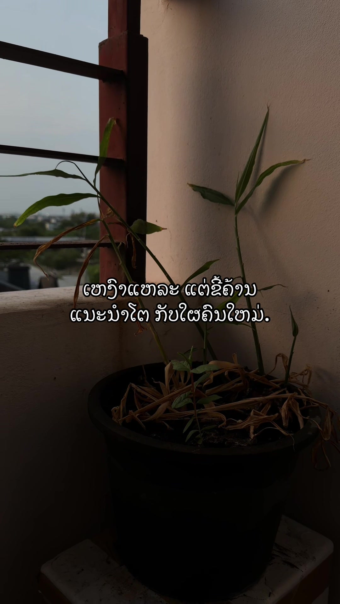 @ສ້າງຍ້ອນອົກຫັກTN007