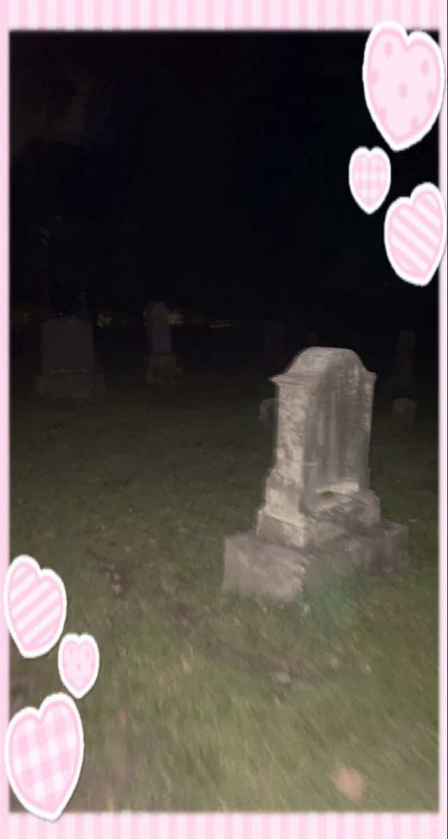 @!𝒫ℴ𝓂 𝒫ℴ𝓂 ¡