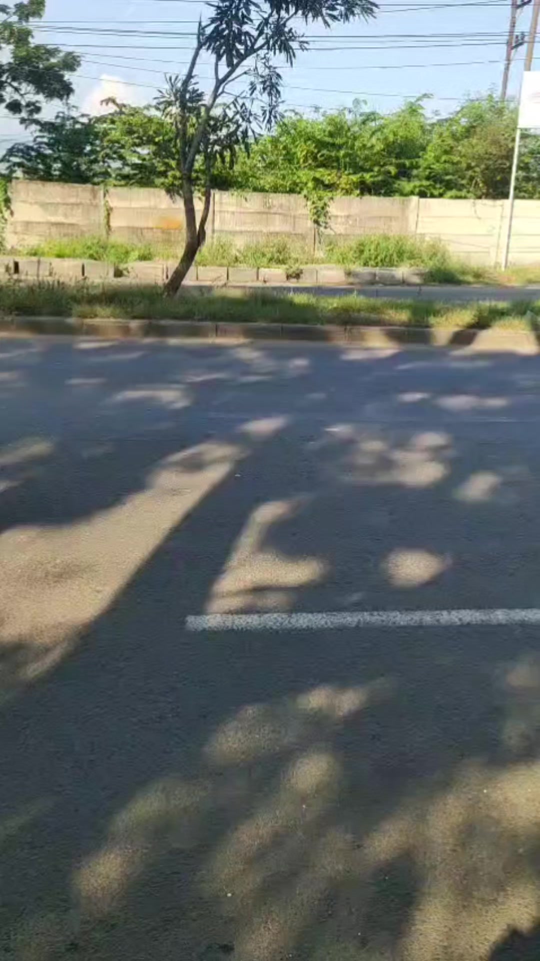 @ANCENE