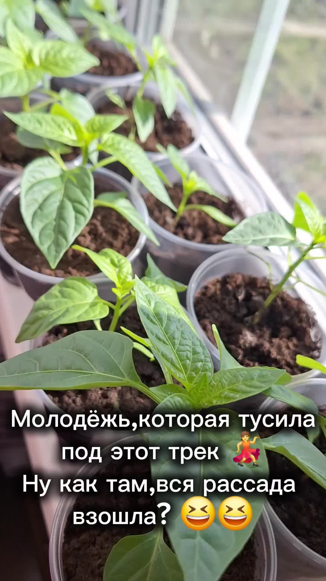 @Полина лебедева