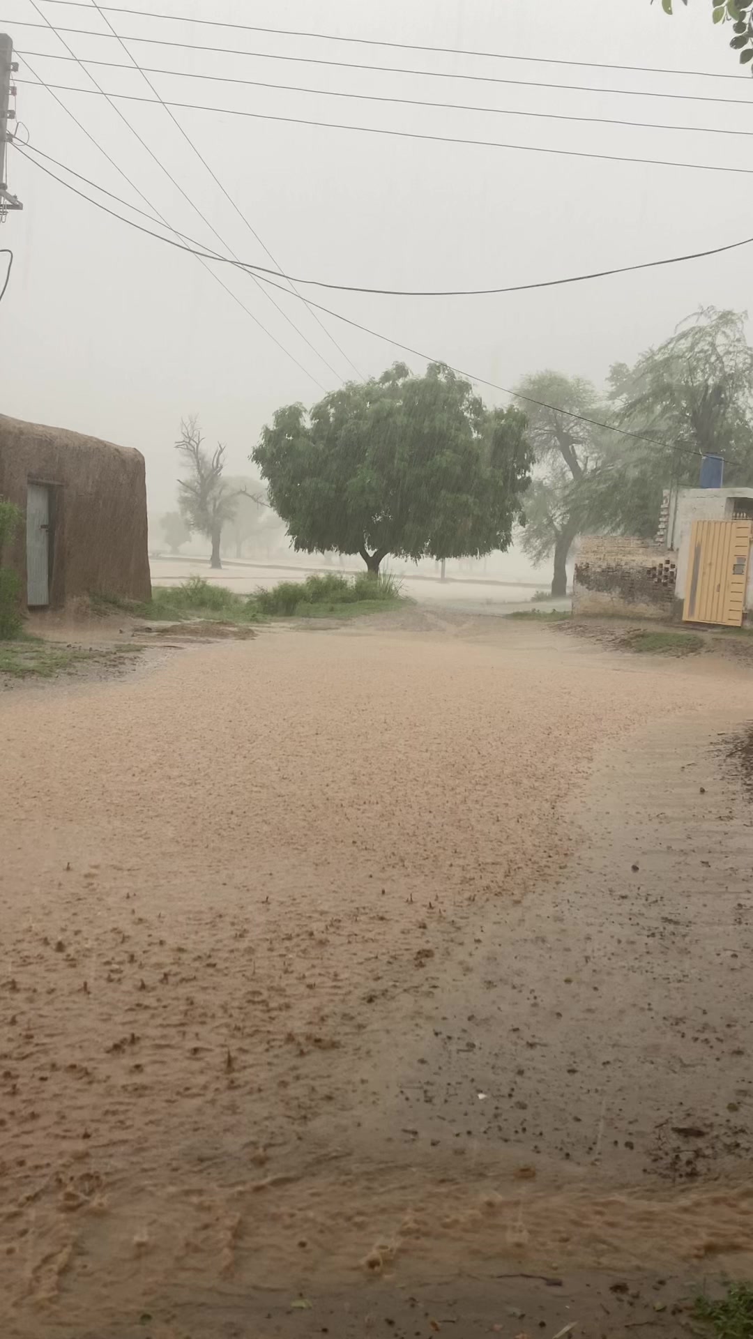 @ساڈاپنجاب🌾